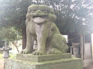 瀧尾神社の参拝記録(さとみさん)