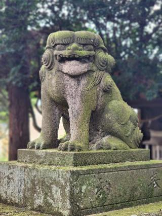瀧尾神社の参拝記録(たけちゃ～ん⚾さん)
