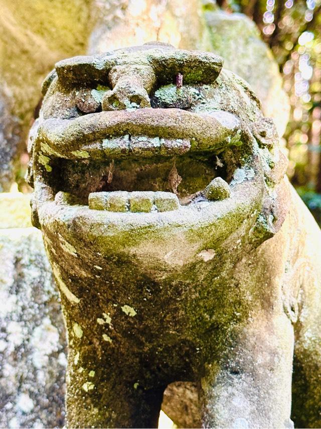多藤神社の参拝記録1
