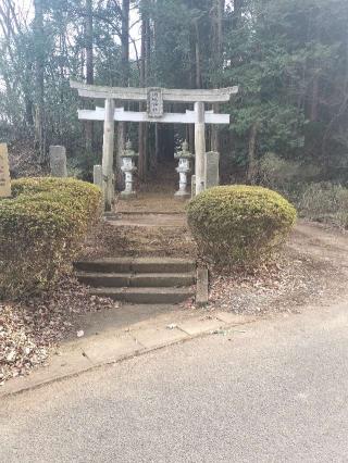川崎神社の参拝記録(さとみさん)