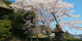 久多美神社の参拝記録(はにほへとさん)