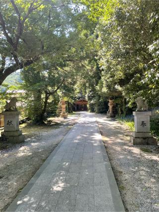 天照社(須佐神社境内社)の参拝記録(こうさん)