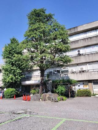 東本願寺(浄土真宗東本願寺派本山東本願寺)の参拝記録(さとみさん)