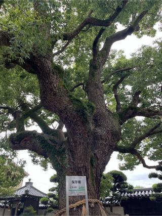 大聖観音寺の参拝記録(まきちゃんさん)