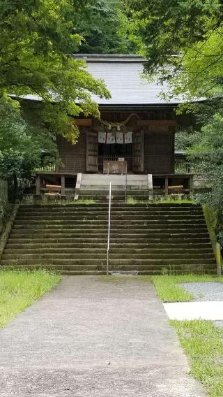 井戸神社の参拝記録(なみなみさん)