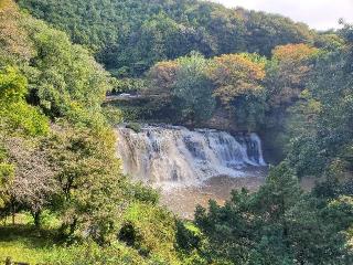 八龍神社の参拝記録(ヨッシーさん)