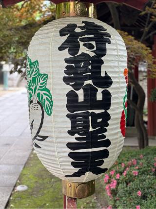 待乳山 本龍院（待乳山聖天）の参拝記録(としくんさん)