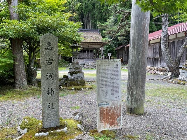 京都府京都市左京区久多宮の町３６２ 志古淵神社の写真1