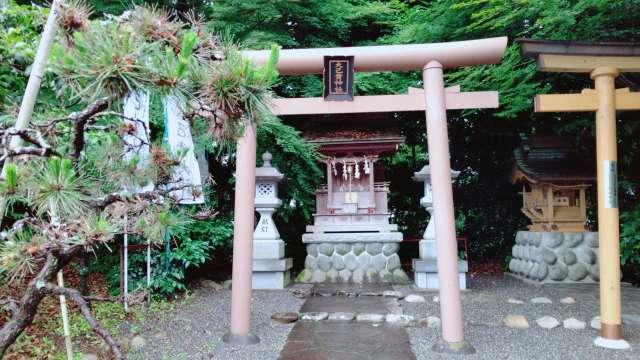大己貴神社(龍尾神社)の参拝記録8