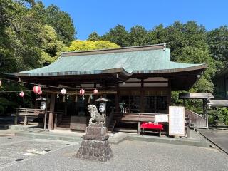 大己貴神社(龍尾神社)の参拝記録(NARUさん)