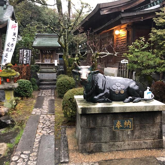 大井天満宮(大井神社)の参拝記録8