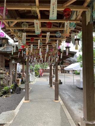 大井天満宮(大井神社)の参拝記録(もそもそ🤗さん)