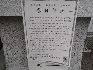 春日神社(大井神社)の参拝記録(yukiさん)