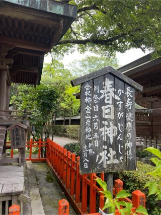 春日神社(大井神社)の参拝記録(⛩️🎠🐢まめ🐢🎠⛩️さん)