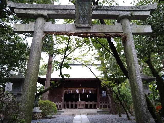 静霊神社(大井神社)の参拝記録10