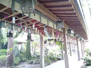 静霊神社(大井神社)の参拝記録(yukiさん)
