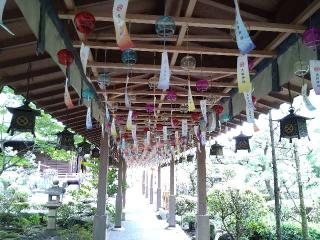 静霊神社(大井神社)の参拝記録(yukiさん)