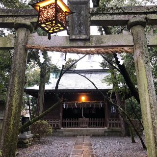 静霊神社(大井神社)の参拝記録(ワヲンさん)