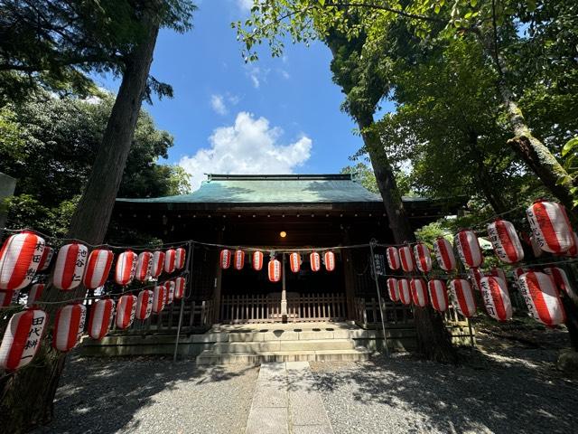 静霊神社(大井神社)の参拝記録4