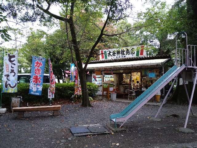 祓戸神社(大井神社)の参拝記録9