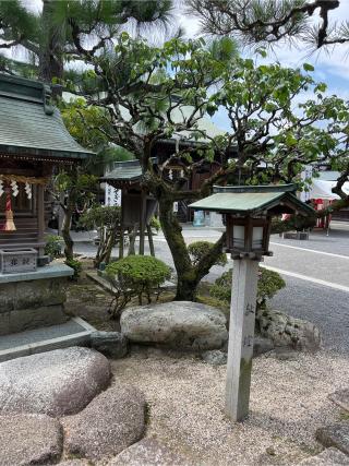 祓戸神社(大井神社)の参拝記録(⛩️🐍🐢まめ🐢🐍⛩️さん)