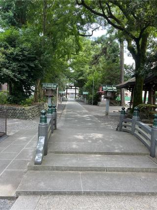 大井恵比寿神社(大井神社)の参拝記録(⛩️🐍🐢まめ🐢🐍⛩️さん)