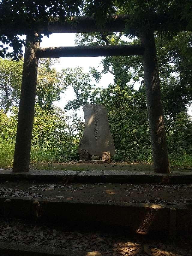 埼玉県春日部市粕壁 浅間山(春日部八幡神社)の写真2