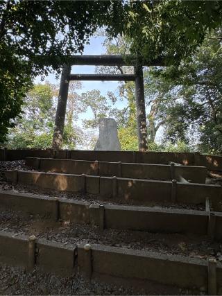 浅間山(春日部八幡神社)の参拝記録(こーちんさん)