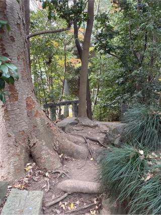 御嶽社(春日部八幡神社)の参拝記録(⛩️🐍🐢まめ🐢🐍⛩️さん)