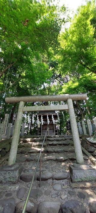 奥の院 旧本殿(春日部八幡神社)の参拝記録(まーぼーさん)