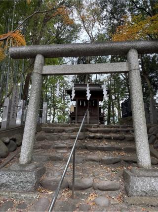 奥の院 旧本殿(春日部八幡神社)の参拝記録(⛩️🐍🐢まめ🐢🐍⛩️さん)