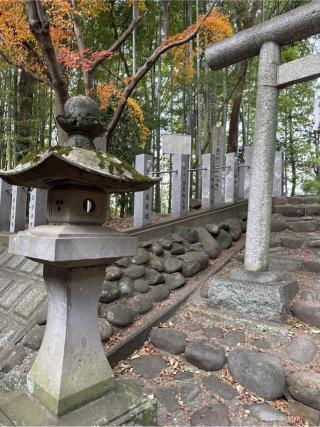 奥の院 旧本殿(春日部八幡神社)の参拝記録(⛩️🐍🐢まめ🐢🐍⛩️さん)