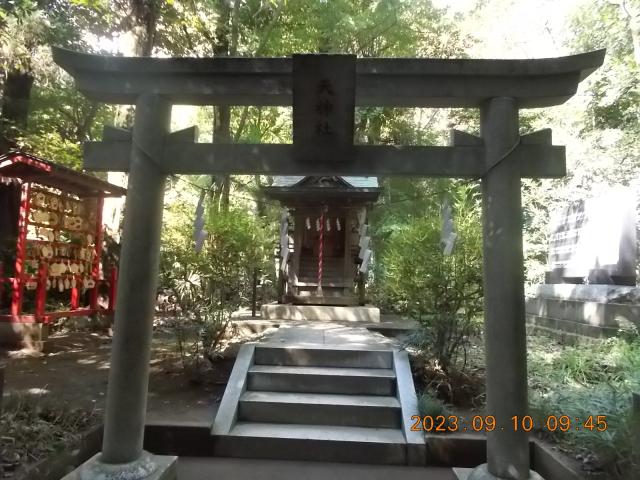 埼玉県春日部市粕壁５６０８ 天神社(春日部八幡神社)の写真2