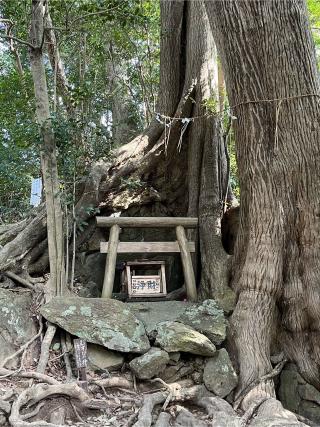 一之宮事任神社の参拝記録(ヒッポママさん)