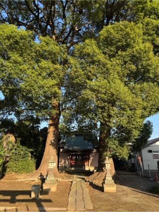 稲荷神社の参拝記録(こーちんさん)