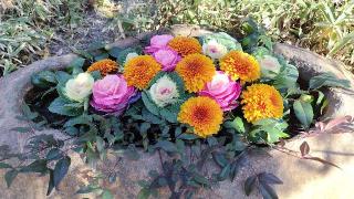 津嶋神社(田無神社境内社)の参拝記録(オトギリルさん)