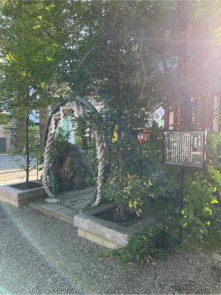 津嶋神社(田無神社境内社)の参拝記録(⛩️🐍🐢まめ🐢🐍⛩️さん)