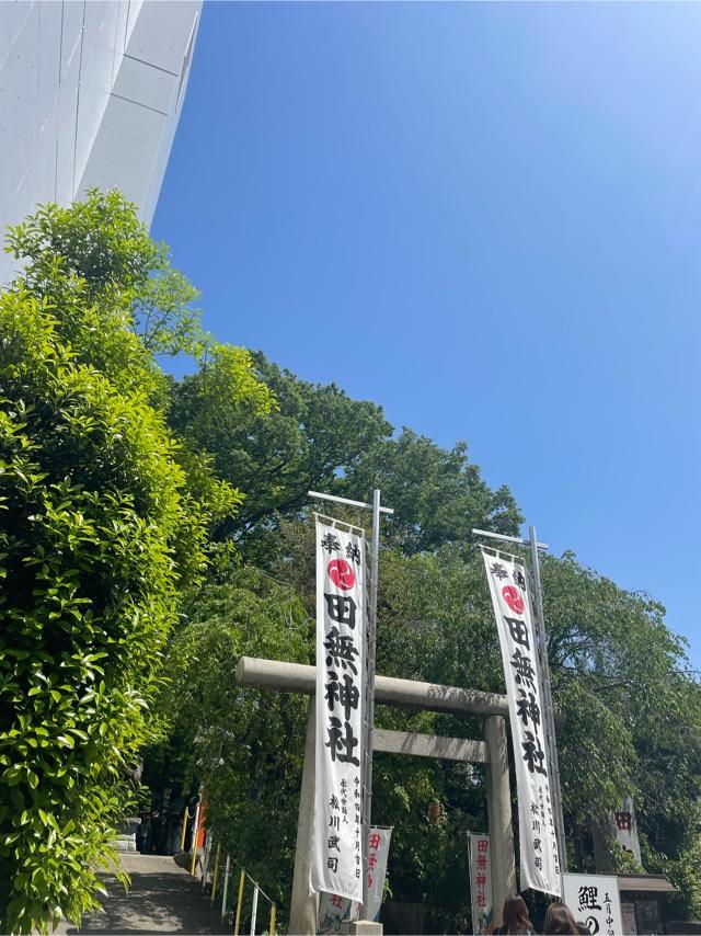 津嶋神社(田無神社境内社)の参拝記録5