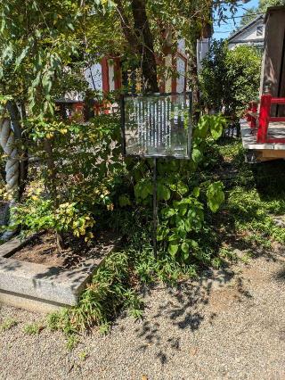 津嶋神社(田無神社境内社)の参拝記録(はくすみさん)