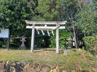 白髭神社の参拝記録(銀玉鉄砲さん)