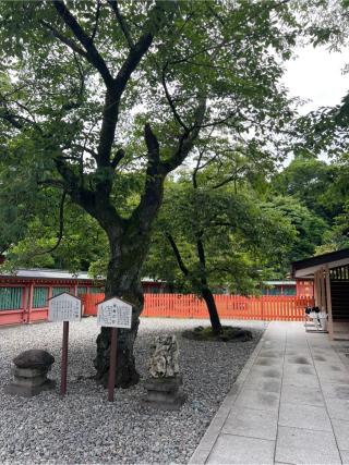 三之宮(富士山本宮浅間神社境内社)の参拝記録(⛩️🎠🐢まめ🐢🎠⛩️さん)
