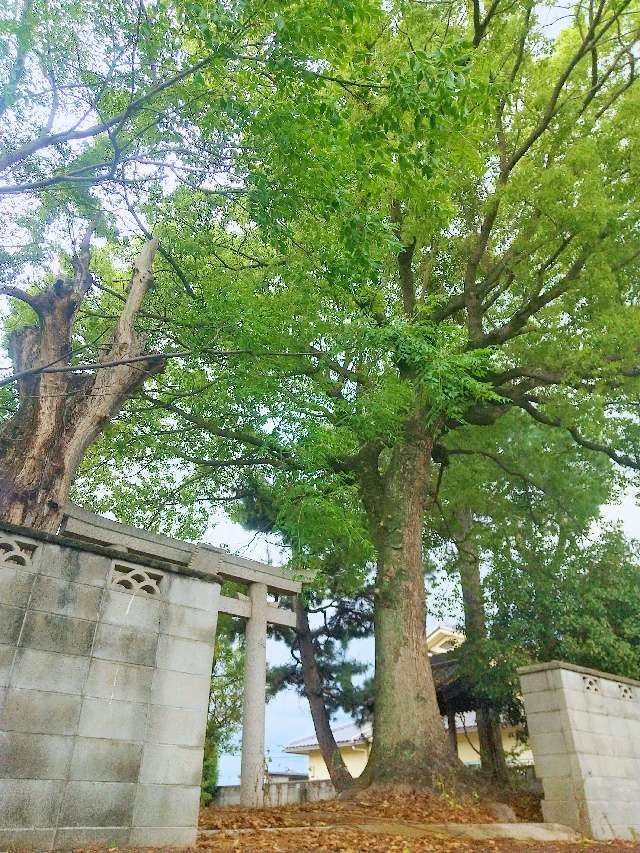 奈良県磯城郡川西町下永1244 八幡神社 (川西町下永東)の写真2