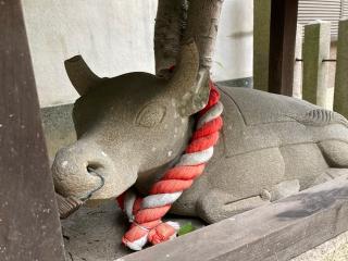 天神社 (奈良市尼辻中町)の参拝記録(すったもんださん)