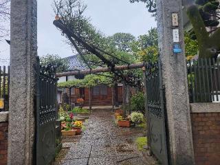 究竟山 妙情寺の参拝記録(まっきーさん)