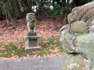 西波天満神社の参拝記録(すったもんださん)