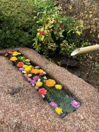 大法山 一乗寺の参拝記録(なっちゃんさん)