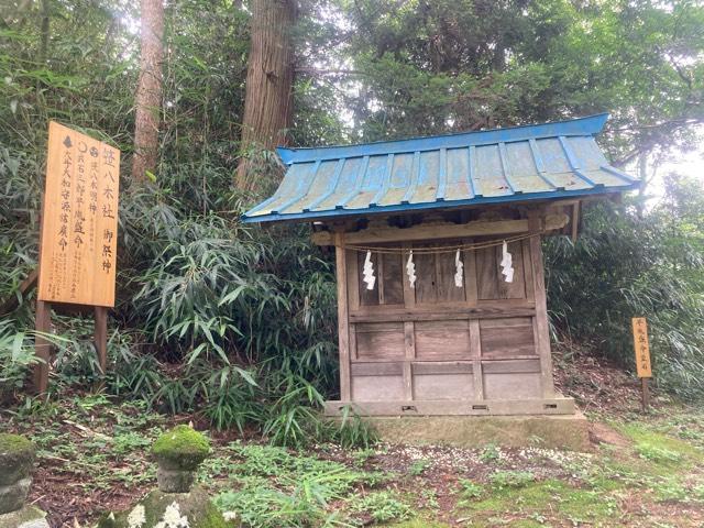 笹八木社（子檀嶺神社境内社）の参拝記録10