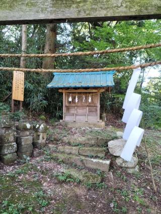 笹八木社（子檀嶺神社境内社）の参拝記録(ジョージ。さん)