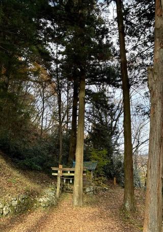 笹八木社（子檀嶺神社境内社）の参拝記録(竜胆の花さん)