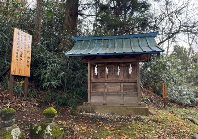 笹八木社（子檀嶺神社境内社）の参拝記録6